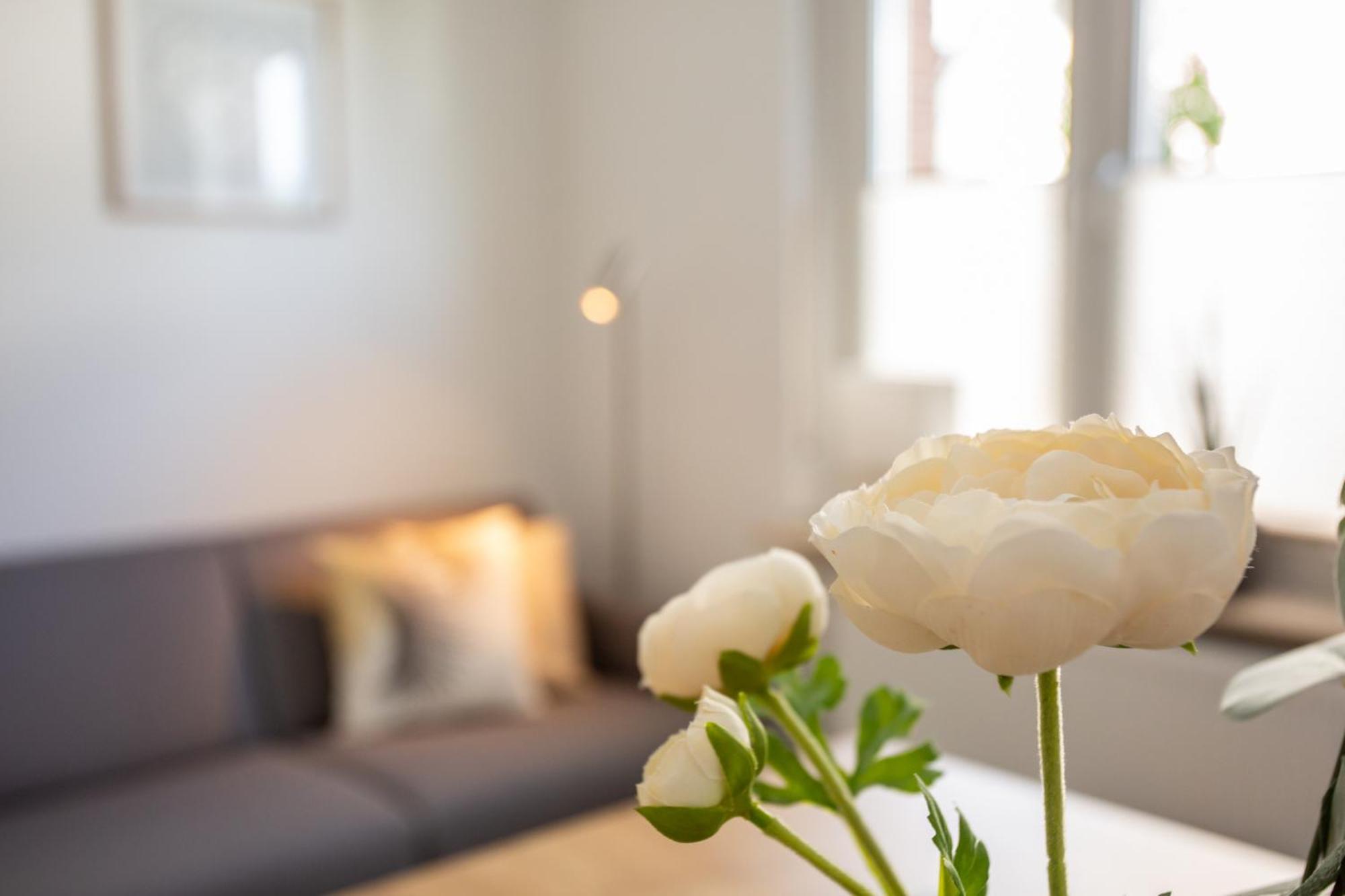 Апартаменти Boardinghouse44 Георгсмарінгютте Екстер'єр фото